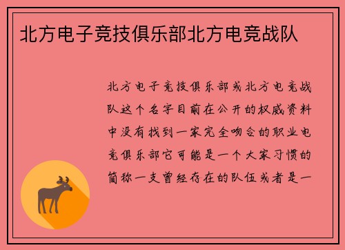 北方电子竞技俱乐部北方电竞战队