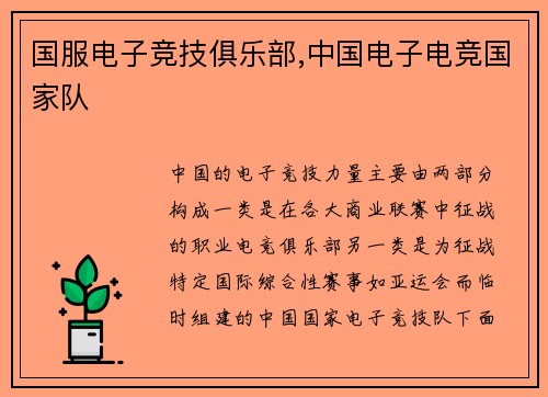 国服电子竞技俱乐部,中国电子电竞国家队